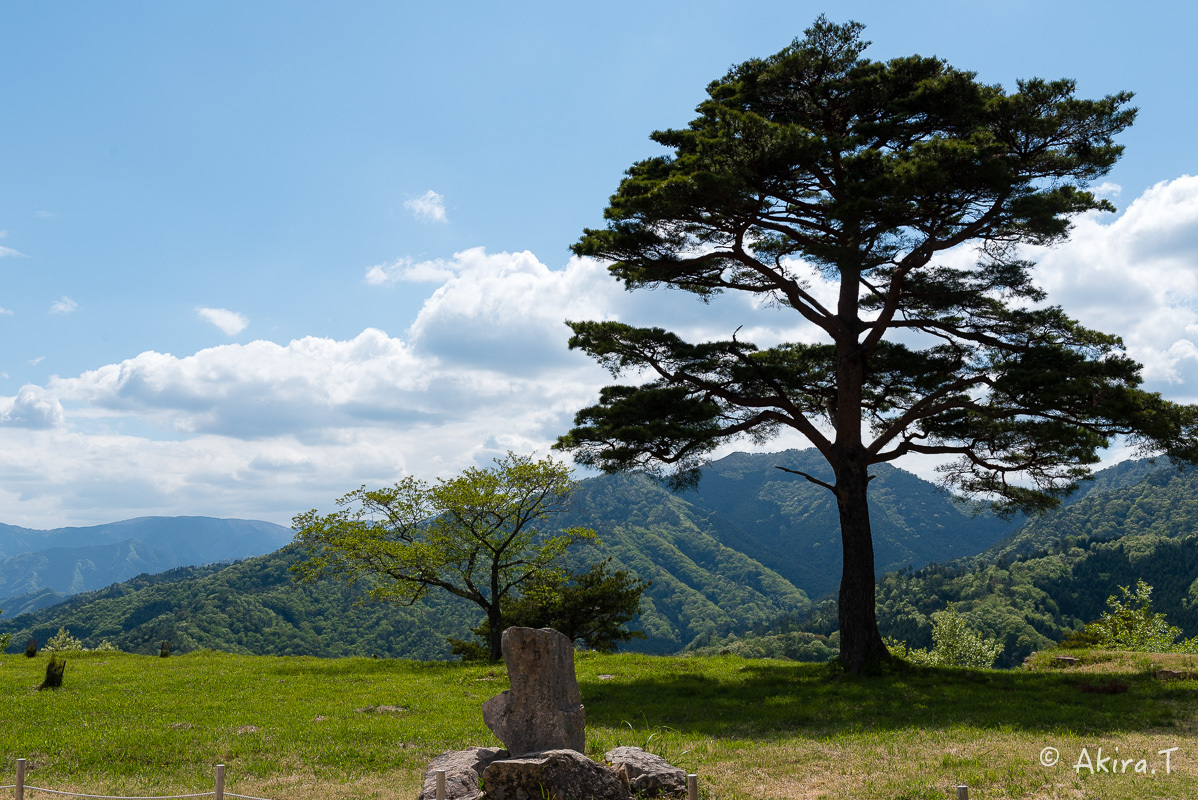 竹田城跡..._f0152550_22442883.jpg