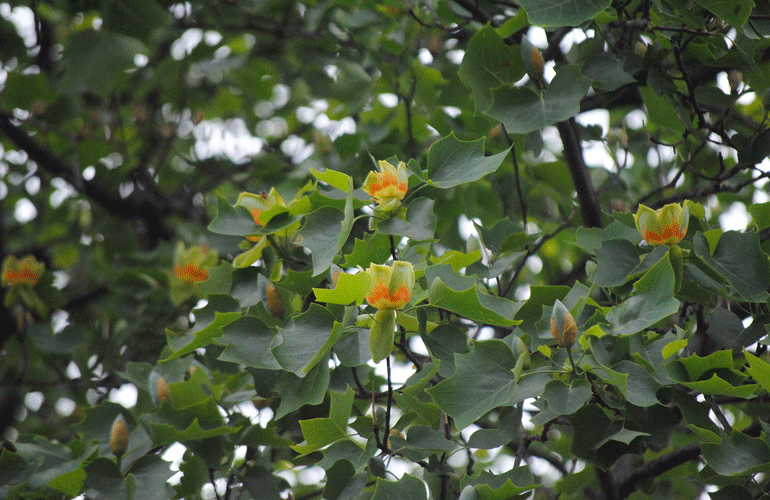a0001354_23330419.gif