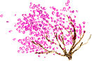 c0108366_12561990.gif