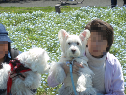 b0242873_18584366.png