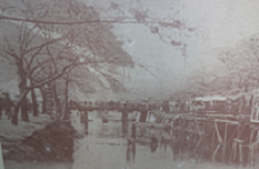 d0183387_12065339.png
