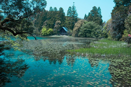 e0176993_06261033.jpg