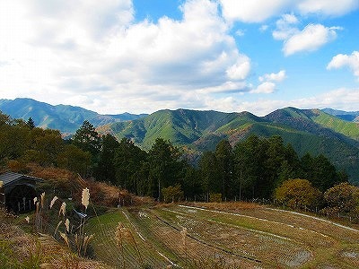 熊野古道　潮見峠のご案内_d0360104_17214437.jpg