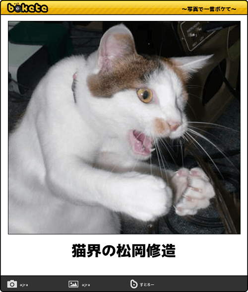 a0216818_07111155.png