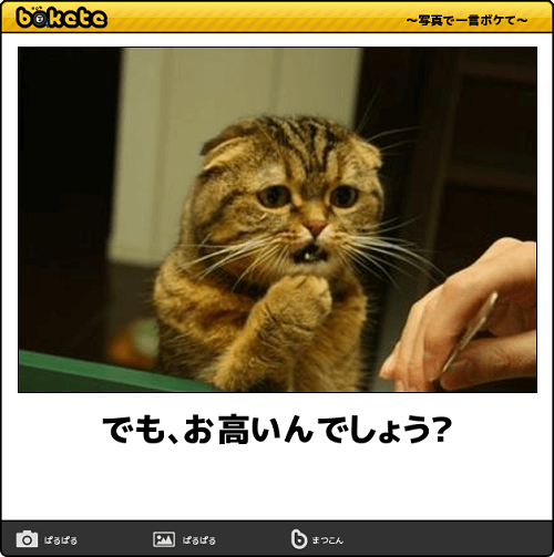 a0216818_07130283.png
