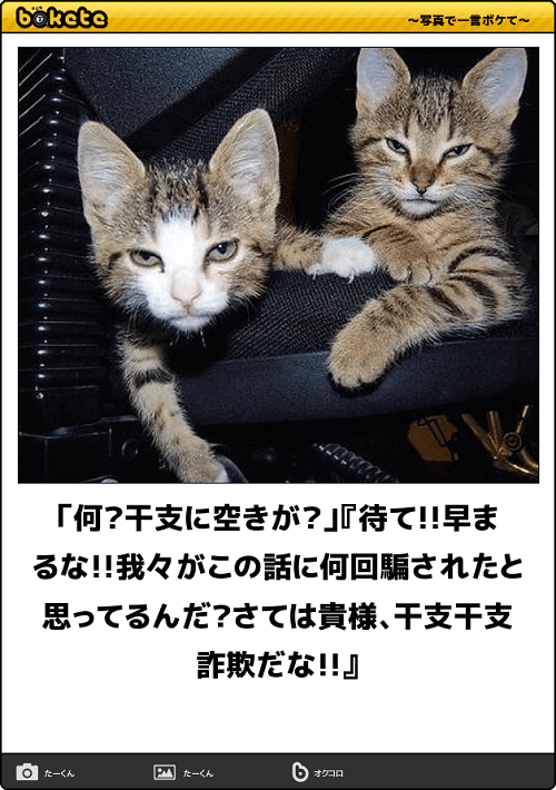 a0216818_07134126.png