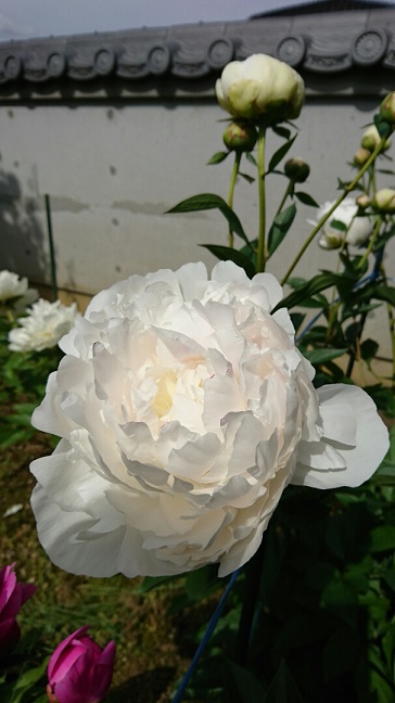 f0228619_2022961.jpg