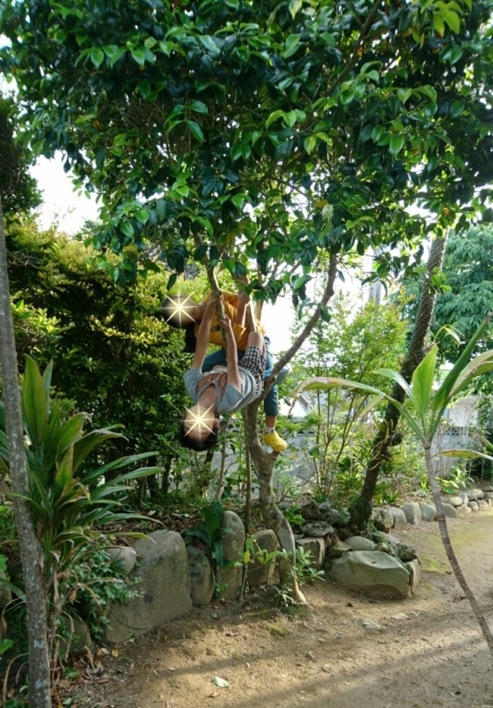 c0117621_18212708.jpg