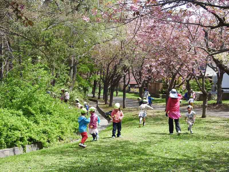 西野緑道の桜（その１）_e0362222_21553180.jpg