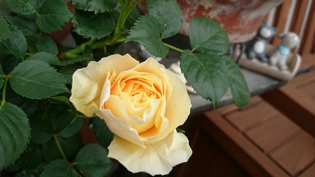 e0263224_23222009.jpg