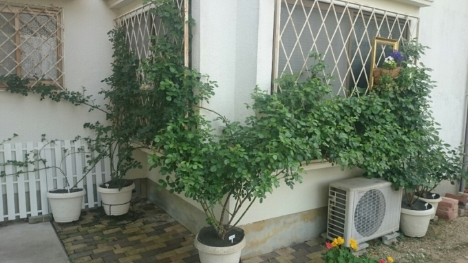 e0263224_23224418.jpg