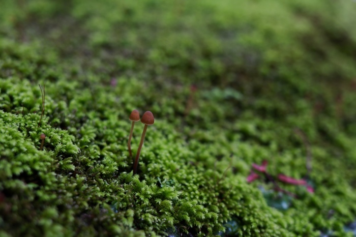 f0348831_22534408.jpg
