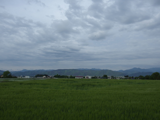 夕暮れの風の道_a0014840_23392030.jpg