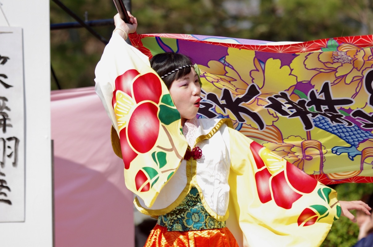 ２０１７京都さくらよさこい2日目その２２（笑舞翔華）_a0009554_10153736.jpg