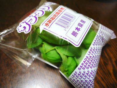 水耕栽培の朝採り新鮮野菜 フレッシュバジルの販売に向けて!_a0254656_18344647.jpg