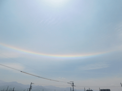 b0129758_13351650.gif