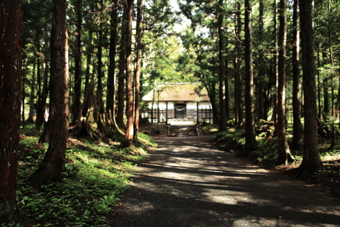 早池峯神社ガイド(桜の残存)_f0075075_15341850.jpg