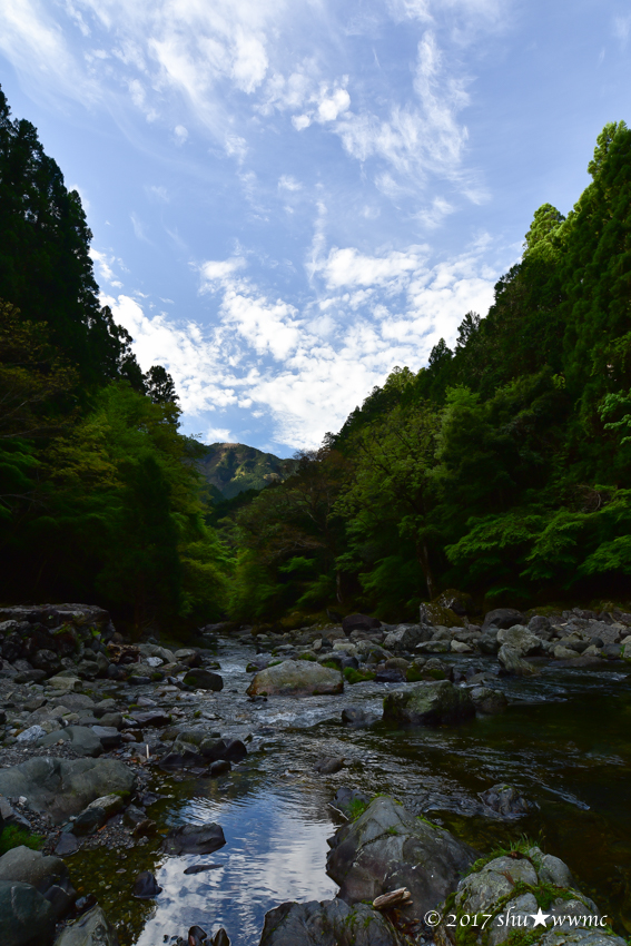a0142976_187614.jpg
