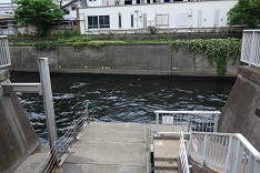 d0183387_00111326.jpg