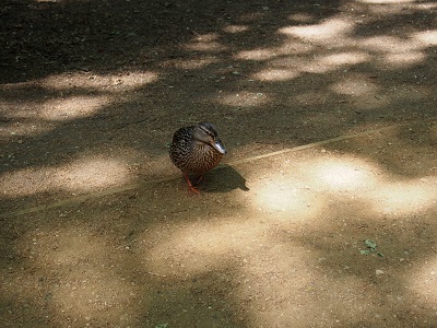 f0238789_20005987.jpg