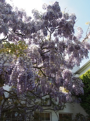 f0238789_20561205.jpg