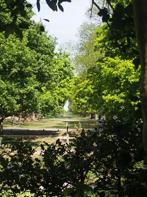 f0238789_21225589.jpg
