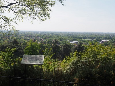 f0238789_21230452.jpg