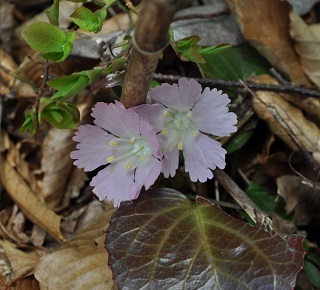 c0034391_22352430.jpg