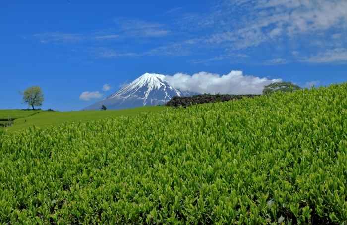 b0194994_20371366.jpg