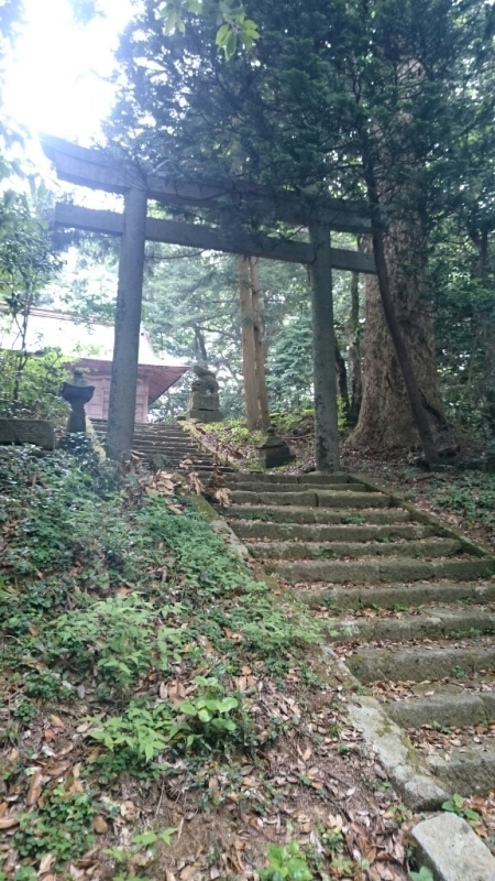 d0362800_19073222.jpg