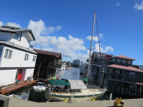 ヴィクトリアひとり旅☆ 海を眺めがらWest Bayまで_c0212604_20442460.jpg