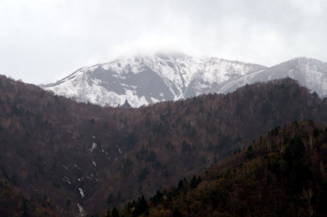 a0345007_111567.jpg