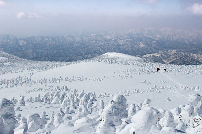 スノーモンスターに会えた山　西吾妻山_b0244811_232938100.jpg