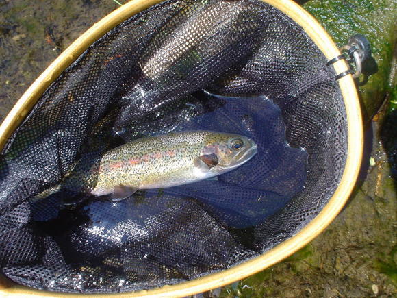 f0280717_12341038.jpg
