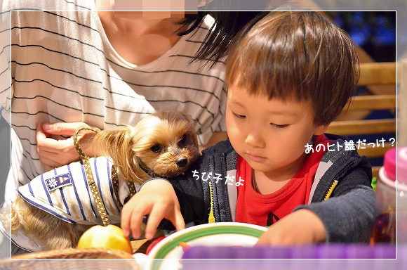 d0179828_01202701.png