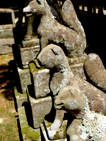 「島根・安来4神社 玉神社、能義神社、意多伎神社、金屋子神社」_a0000029_17171651.jpg