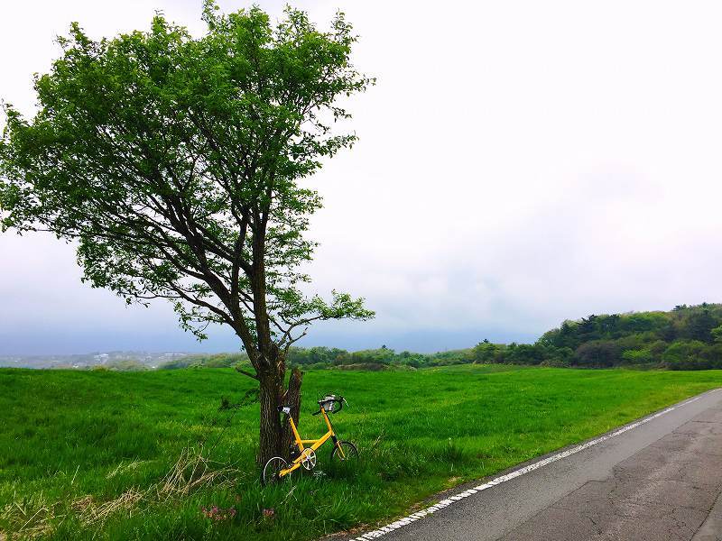 Eroica Japan 2017_d0196339_11314628.jpg