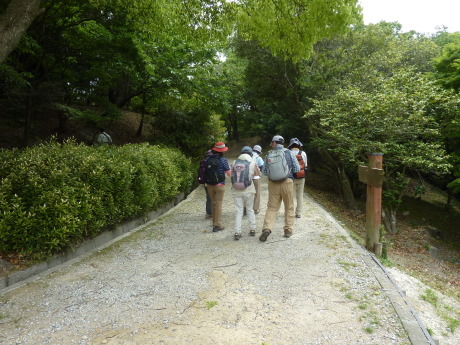 「ひよどりごえ森林公園」オリエンテーリング _c0218841_11534913.jpg