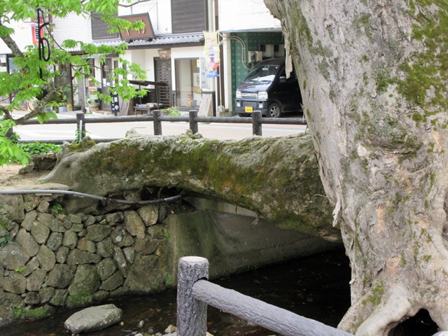 【2泊3日の関西旅行】⑬柏原八幡宮と乗寶寺【柏原さんぽ④】_b0009849_18283280.jpg