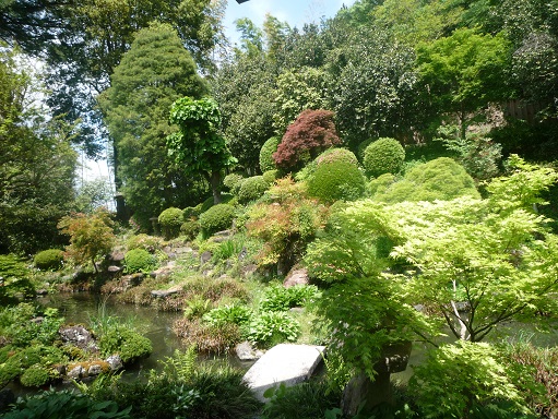 c0273271_1554683.jpg
