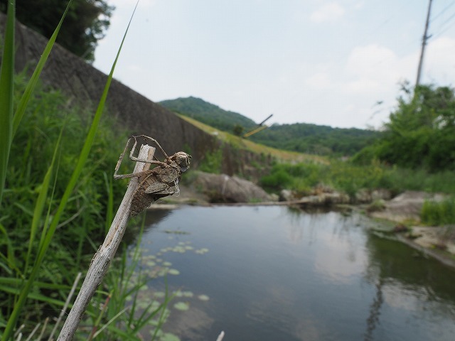 d0156387_20054007.jpg