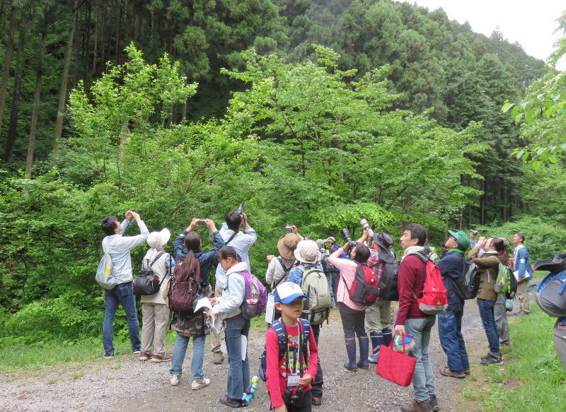 「春の裏高尾　チョウの観察会2017」を開催しました_b0194593_18161083.jpg