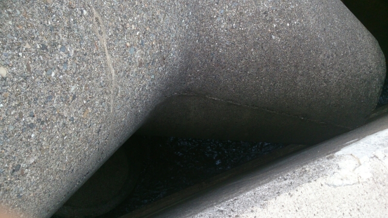 f0337700_10362798.jpg