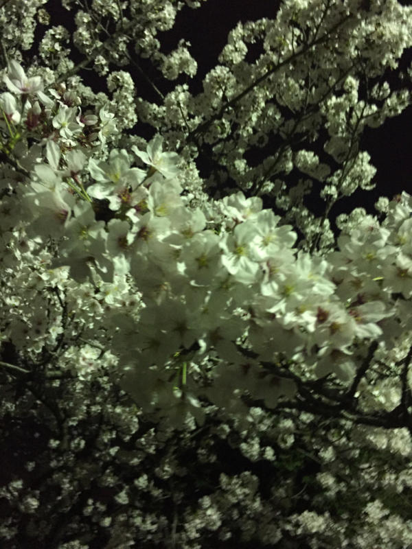 f0374700_23011415.jpg