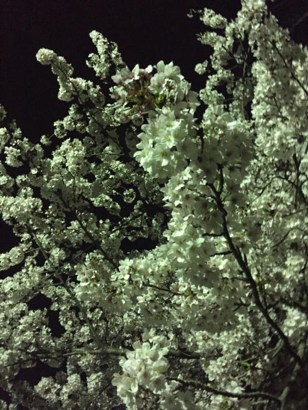 f0374700_23011492.jpg