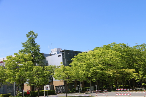 新緑と薫風が満ち溢れている五月の朝の米沢キャンパス２０１７．５．１７・２_c0075701_08370426.jpg