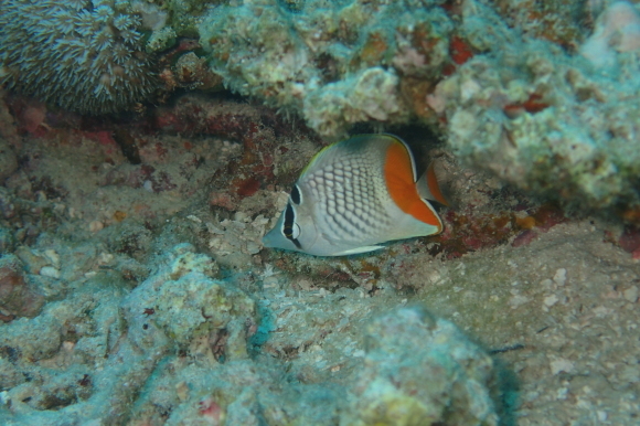 f0121701_17555370.jpg