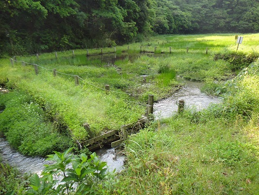 f0187402_22341326.jpg
