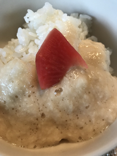 夏に向けてゴーヤーととろろ、豚汁_b0014003_13423326.jpg