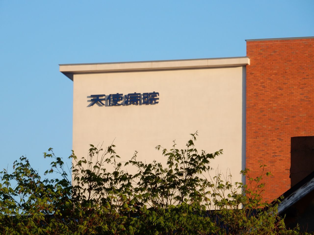 夏日の午後の講義を終えて_c0025115_21551582.jpg